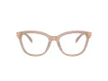 Coach HC 6232U 5808 53 Women glasses