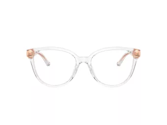Coach HC 6234U 5111 53 Women glasses