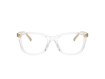 Coach HC 6235U 5111 53 Women glasses
