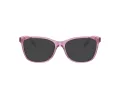 Coach HC 6235U 5823 53 Women glasses