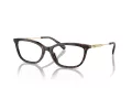 Coach HC 6237U 5120 54 Women glasses