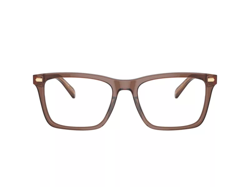 Coach HC 6238U 5819 54 Men glasses