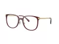 Coach HC 6241D 5824 54 Women glasses
