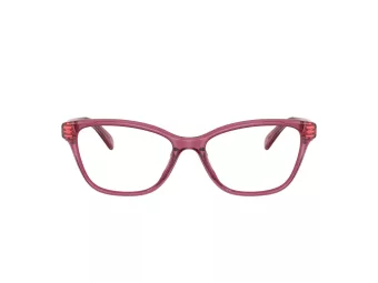 Coach HC 6243U 5824 53 Women glasses