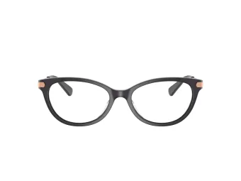 Coach HC 6245U 5104 53 Women glasses