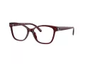 Coach HC 6246U 5393 53 Women glasses