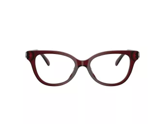 Coach HC 6247U 5393 51 Women glasses