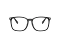 Coach HC 6254BD 5002 55 Women glasses