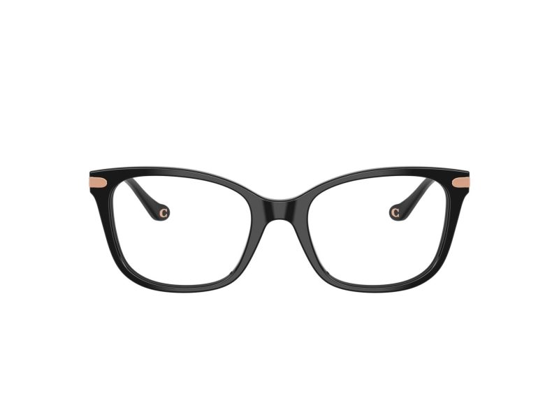 Coach HC 6261BU 5002 50 Women glasses