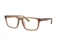 Coach HC 6263U 5876 55 Men glasses