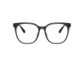 Coach HC 6267D 5897 54 Women glasses