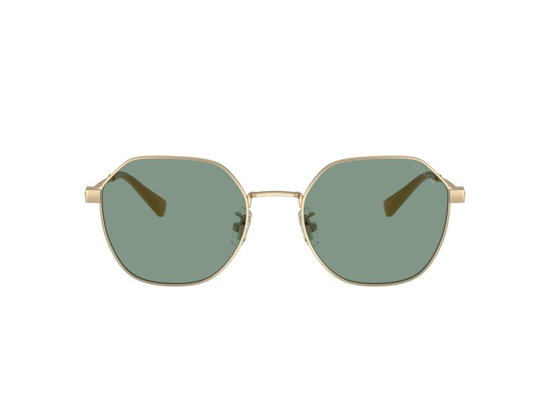 Coach Cl915 HC 7155 900582 54 Men sunglasses