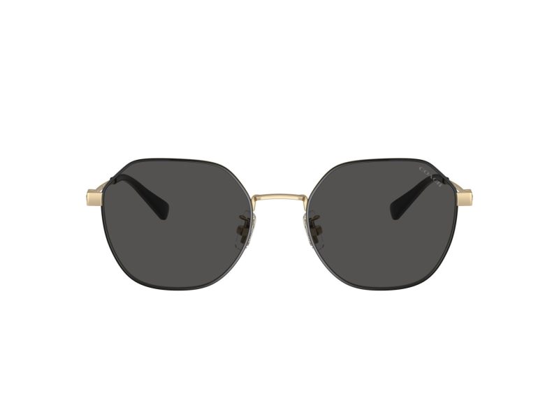 Coach Cl915 HC 7155 900587 54 Men sunglasses