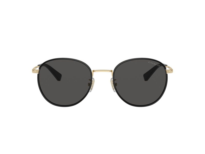 Coach Cr631 HC 7163 934687 52 Men sunglasses