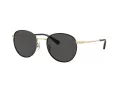 Coach Cr631 HC 7163 934687 52 Men sunglasses
