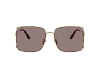Coach Cw429 HC 7174D 94417N 59 Women sunglasses