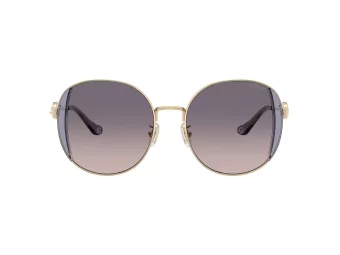 Coach Cad73 HC 7176B 900536 54 Women sunglasses