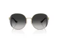 Coach Cad73 HC 7176B 90053C 54 Women sunglasses