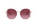 Coach Cad73 HC 7176B 93318H 54 Women sunglasses