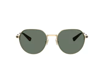 Coach Cae81 HC 7179 90053H 52 Men sunglasses