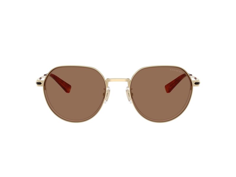 Coach Cae81 HC 7179 900573 52 Men sunglasses