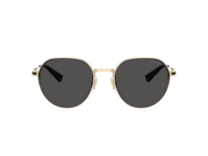 Coach Cae81 HC 7179 900587 52 Men sunglasses