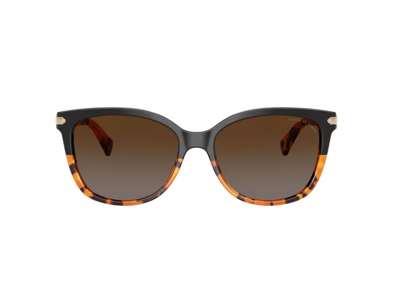 Coach L109 HC 8132 5438T5 57 Women sunglasses