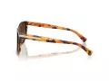 Coach L109 HC 8132 5438T5 57 Women sunglasses
