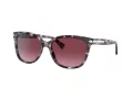 Coach L109 HC 8132 55488H 57 Women sunglasses