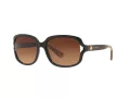Coach L149 HC 8169 535313 57 Women sunglasses