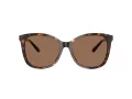 Coach L1101 HC 8271U 512073 57 Women sunglasses