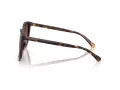 Coach L1101 HC 8271U 5120T5 57 Women sunglasses