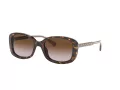Coach L1114 HC 8278 512013 53 Women sunglasses