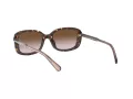 Coach L1114 HC 8278 512013 53 Women sunglasses