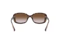 Coach L1114 HC 8278 512013 53 Women sunglasses