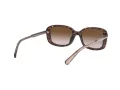 Coach L1114 HC 8278 512013 53 Women sunglasses