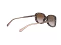 Coach L1114 HC 8278 512013 53 Women sunglasses