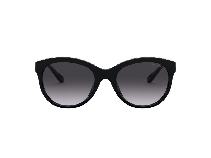 Coach L1149 HC 8297U 50028G 52 Women sunglasses
