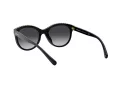 Coach L1149 HC 8297U 50028G 52 Women sunglasses