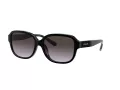 Coach L1153 HC 8298U 50028G 57 Women sunglasses