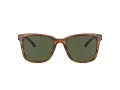 Coach C2095 HC 8313U 558171 54 Men sunglasses