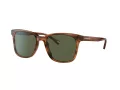 Coach C2095 HC 8313U 558171 54 Men sunglasses