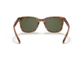 Coach C2095 HC 8313U 558171 54 Men sunglasses
