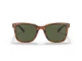 Coach C2095 HC 8313U 558171 54 Men sunglasses