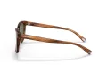 Coach C2095 HC 8313U 558171 54 Men sunglasses