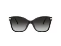 Coach C3446 HC 8316 50028G 58 Women sunglasses