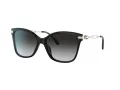 Coach C3446 HC 8316 50028G 58 Women sunglasses
