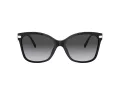 Coach C3446 HC 8316 5002T3 58 Women sunglasses