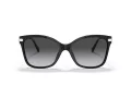 Coach C3446 HC 8316 5002T3 58 Women sunglasses