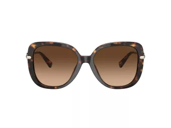 Coach C6180 HC 8320 512074 55 Women sunglasses